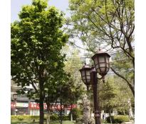 西国贸大厦写字楼豪华装修210㎡