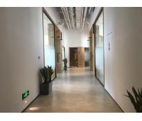 MadNet协同创新空间（恒通商务园）写字楼中等装修256㎡